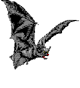 Bat flying left.